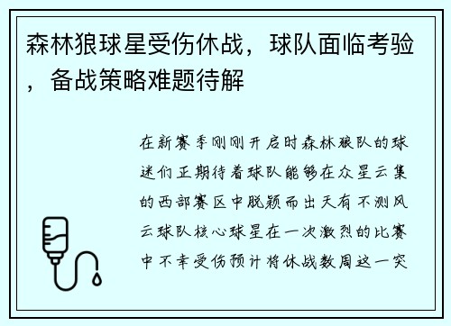 森林狼球星受伤休战，球队面临考验，备战策略难题待解