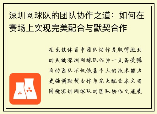 深圳网球队的团队协作之道：如何在赛场上实现完美配合与默契合作