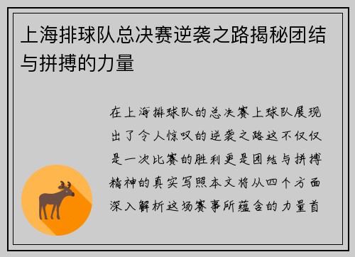 上海排球队总决赛逆袭之路揭秘团结与拼搏的力量